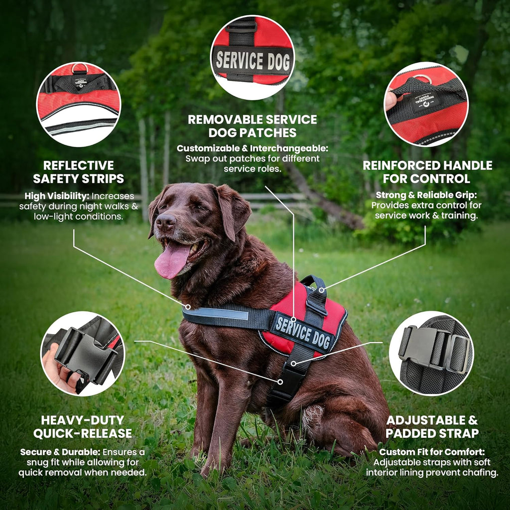 Emotional Support Vest Harness with Hook, Loop Straps and Handle, 2 Reflective Service Emotional Support Self-Adhesive Straps, ESA Matching Leash Set, Dog Accessories, XS, Bright Red